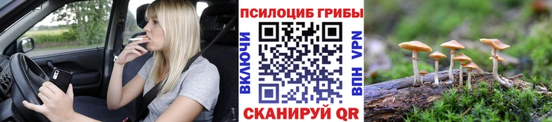 OMG как зайти  Дмитровск  Псилоцибиновые грибы ЛСД  наркота 